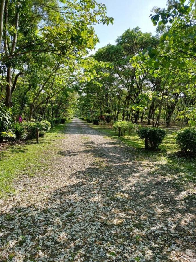 花蓮金澤居民宿樹窩民宿御安居民宿寵物友善 Ji'an Exteriör bild
