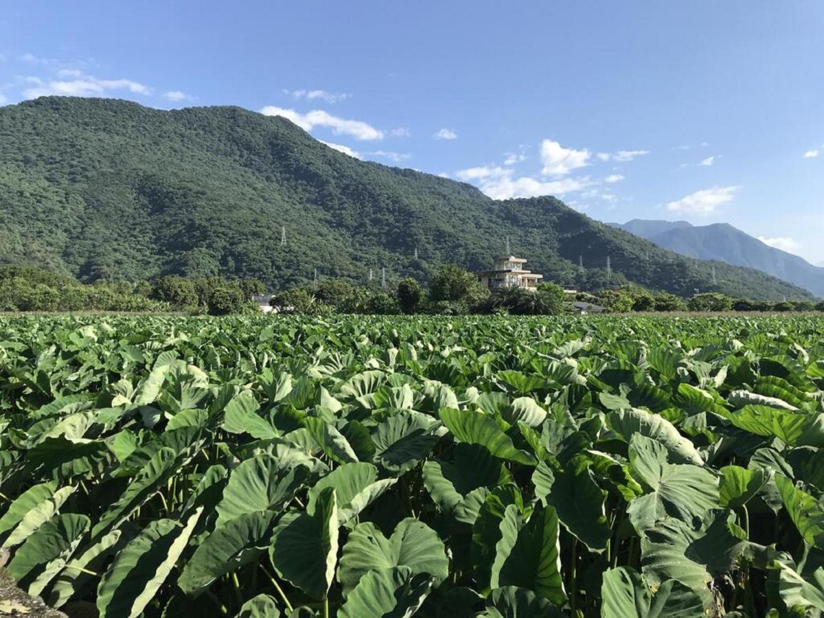 花蓮金澤居民宿樹窩民宿御安居民宿寵物友善 Ji'an Exteriör bild
